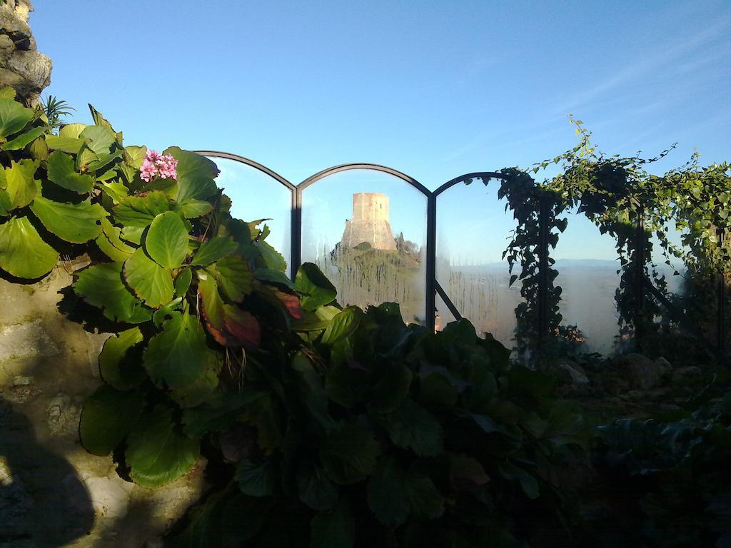 B&B Il Vecchietta Castiglione dʼOrcia Esterno foto