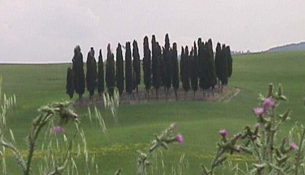 B&B Il Vecchietta Castiglione dʼOrcia Esterno foto